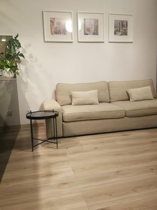 Uroczy, Jasny Apartament Oraz Bezplatny Parking! Apartment Krakow Exterior photo